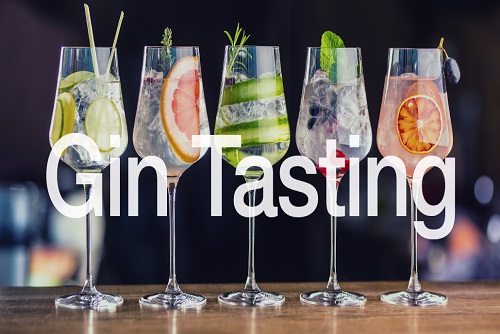 Gin Tasting Experience 
