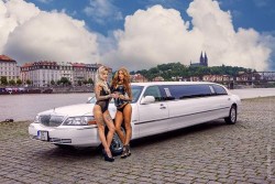Limo With Stripper