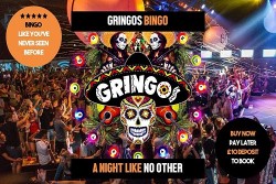 Gringos Bingo Party Packages