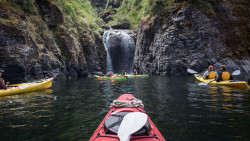 Ultimate Kayaking Experience