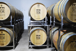 Quinta Do Tor Winery Tour